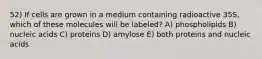 52) If cells are grown in a medium containing radioactive 35S, which of these molecules will be labeled? A) phospholipids B) nucleic acids C) proteins D) amylose E) both proteins and nucleic acids