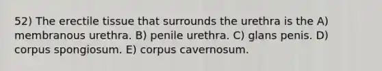 52) The erectile tissue that surrounds the urethra is the A) membranous urethra. B) penile urethra. C) glans penis. D) corpus spongiosum. E) corpus cavernosum.