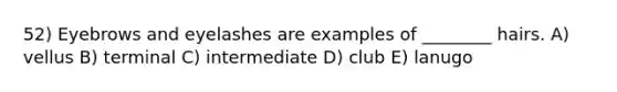 52) Eyebrows and eyelashes are examples of ________ hairs. A) vellus B) terminal C) intermediate D) club E) lanugo