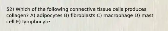 52) Which of the following connective tissue cells produces collagen? A) adipocytes B) fibroblasts C) macrophage D) mast cell E) lymphocyte