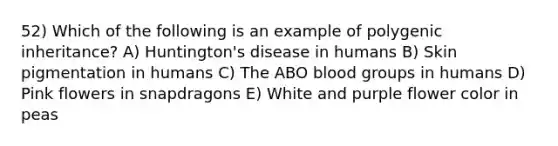 52) Which of the following is an example of polygenic inheritance? A) Huntington's disease in humans B) Skin pigmentation in humans C) The ABO blood groups in humans D) Pink flowers in snapdragons E) White and purple flower color in peas