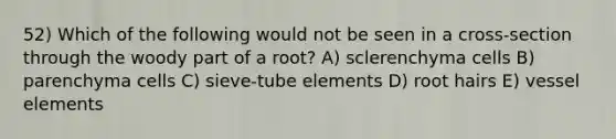 52) Which of the following would not be seen in a cross-section through the woody part of a root? A) sclerenchyma cells B) parenchyma cells C) sieve-tube elements D) root hairs E) vessel elements