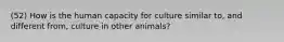 (52) How is the human capacity for culture similar to, and different from, culture in other animals?