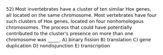 52) Most invertebrates have a cluster of ten similar Hox genes, all located on the same chromosome. Most vertebrates have four such clusters of Hox genes, located on four nonhomologous chromosomes. The process that could have potentially contributed to the cluster's presence on more than one chromosome was _____. A) binary fission B) translation C) gene duplication D) nondisjunction E) transcription