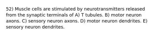 52) Muscle cells are stimulated by neurotransmitters released from the synaptic terminals of A) T tubules. B) motor neuron axons. C) sensory neuron axons. D) motor neuron dendrites. E) sensory neuron dendrites.