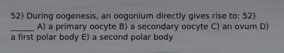 52) During oogenesis, an oogonium directly gives rise to: 52) ______ A) a primary oocyte B) a secondary oocyte C) an ovum D) a first polar body E) a second polar body