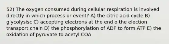 52) The oxygen consumed during <a href='https://www.questionai.com/knowledge/k1IqNYBAJw-cellular-respiration' class='anchor-knowledge'>cellular respiration</a> is involved directly in which process or event? A) the citric acid cycle B) glycolysisc C) accepting electrons at the end o the election transport chain D) the phosphorylation of ADP to form ATP E) the oxidation of pyruvate to acetyl COA