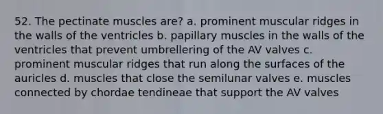 52. The pectinate muscles are? a. prominent muscular ridges in the walls of the ventricles b. papillary muscles in the walls of the ventricles that prevent umbrellering of the AV valves c. prominent muscular ridges that run along the surfaces of the auricles d. muscles that close the semilunar valves e. muscles connected by chordae tendineae that support the AV valves