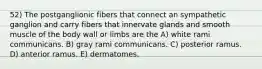 52) The postganglionic fibers that connect an sympathetic ganglion and carry fibers that innervate glands and smooth muscle of the body wall or limbs are the A) white rami communicans. B) gray rami communicans. C) posterior ramus. D) anterior ramus. E) dermatomes.