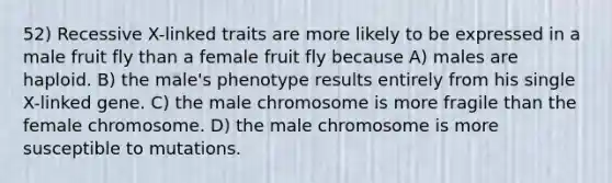 52) Recessive X-linked traits are more likely to be expressed in a male fruit fly than a female fruit fly because A) males are haploid. B) the male's phenotype results entirely from his single X-linked gene. C) the male chromosome is more fragile than the female chromosome. D) the male chromosome is more susceptible to mutations.