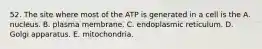 52. The site where most of the ATP is generated in a cell is the A. nucleus. B. plasma membrane. C. endoplasmic reticulum. D. Golgi apparatus. E. mitochondria.