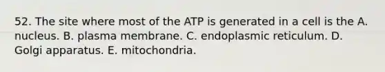 52. The site where most of the ATP is generated in a cell is the A. nucleus. B. plasma membrane. C. endoplasmic reticulum. D. Golgi apparatus. E. mitochondria.