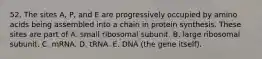 52. The sites A, P, and E are progressively occupied by amino acids being assembled into a chain in protein synthesis. These sites are part of A. small ribosomal subunit. B. large ribosomal subunit. C. mRNA. D. tRNA. E. DNA (the gene itself).