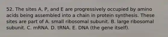 52. The sites A, P, and E are progressively occupied by amino acids being assembled into a chain in protein synthesis. These sites are part of A. small ribosomal subunit. B. large ribosomal subunit. C. mRNA. D. tRNA. E. DNA (the gene itself).