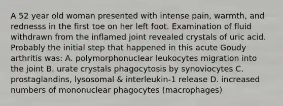 A 52 year old woman presented with intense pain, warmth, and rednesss in the first toe on her left foot. Examination of fluid withdrawn from the inflamed joint revealed crystals of uric acid. Probably the initial step that happened in this acute Goudy arthritis was: A. polymorphonuclear leukocytes migration into the joint B. urate crystals phagocytosis by synoviocytes C. prostaglandins, lysosomal & interleukin-1 release D. increased numbers of mononuclear phagocytes (macrophages)