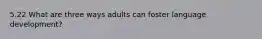 5.22 What are three ways adults can foster language development?