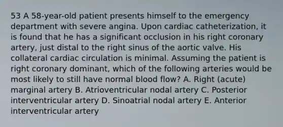 53 A 58-year-old patient presents himself to the emergency department with severe angina. Upon cardiac catheterization, it is found that he has a significant occlusion in his right coronary artery, just distal to the right sinus of the aortic valve. His collateral cardiac circulation is minimal. Assuming the patient is right coronary dominant, which of the following arteries would be most likely to still have normal blood flow? A. Right (acute) marginal artery B. Atrioventricular nodal artery C. Posterior interventricular artery D. Sinoatrial nodal artery E. Anterior interventricular artery