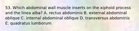 53. Which abdominal wall muscle inserts on the xiphoid process and the linea alba? A. rectus abdominis B. external abdominal oblique C. internal abdominal oblique D. transversus abdominis E. quadratus lumborum