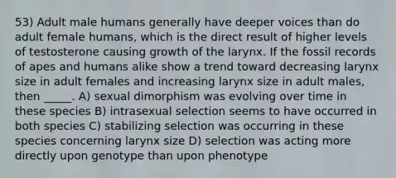 53) Adult male humans generally have deeper voices than do adult female humans, which is the direct result of higher levels of testosterone causing growth of the larynx. If the fossil records of apes and humans alike show a trend toward decreasing larynx size in adult females and increasing larynx size in adult males, then _____. A) sexual dimorphism was evolving over time in these species B) intrasexual selection seems to have occurred in both species C) stabilizing selection was occurring in these species concerning larynx size D) selection was acting more directly upon genotype than upon phenotype