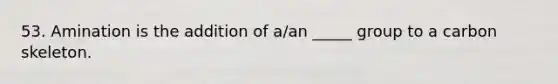 53. Amination is the addition of a/an _____ group to a carbon skeleton.