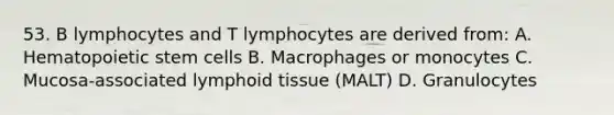 53. B lymphocytes and T lymphocytes are derived from: A. Hematopoietic stem cells B. Macrophages or monocytes C. Mucosa-associated lymphoid tissue (MALT) D. Granulocytes