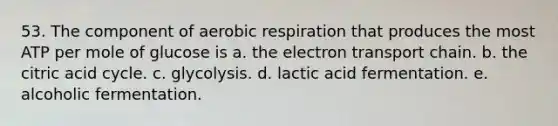 53. The component of aerobic respiration that produces the most ATP per mole of glucose is a. the electron transport chain. b. the citric acid cycle. c. glycolysis. d. lactic acid fermentation. e. alcoholic fermentation.