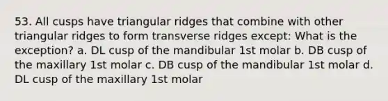 53. All cusps have triangular ridges that combine with other triangular ridges to form transverse ridges except: What is the exception? a. DL cusp of the mandibular 1st molar b. DB cusp of the maxillary 1st molar c. DB cusp of the mandibular 1st molar d. DL cusp of the maxillary 1st molar