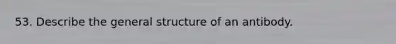 53. Describe the general structure of an antibody.