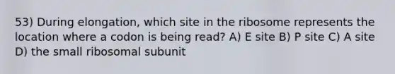 53) During elongation, which site in the ribosome represents the location where a codon is being read? A) E site B) P site C) A site D) the small ribosomal subunit