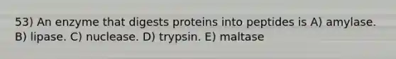 53) An enzyme that digests proteins into peptides is A) amylase. B) lipase. C) nuclease. D) trypsin. E) maltase