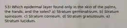 53) Which epidermal layer found only in the skin of the palms, the hands, and the soles? a) Stratum germinativum. b) Stratum spinosum. c) Stratum corneum. d) Stratum granulosum. e) Stratum lucidum.