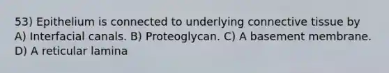 53) Epithelium is connected to underlying connective tissue by A) Interfacial canals. B) Proteoglycan. C) A basement membrane. D) A reticular lamina