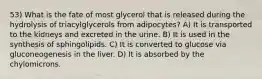 53) What is the fate of most glycerol that is released during the hydrolysis of triacylglycerols from adipocytes? A) It is transported to the kidneys and excreted in the urine. B) It is used in the synthesis of sphingolipids. C) It is converted to glucose via gluconeogenesis in the liver. D) It is absorbed by the chylomicrons.