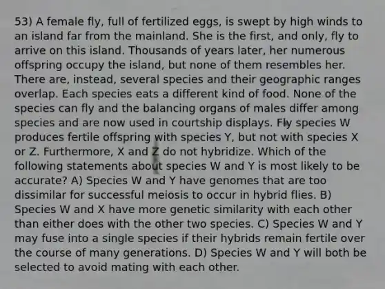 53) A female fly, full of fertilized eggs, is swept by high winds to an island far from the mainland. She is the first, and only, fly to arrive on this island. Thousands of years later, her numerous offspring occupy the island, but none of them resembles her. There are, instead, several species and their geographic ranges overlap. Each species eats a different kind of food. None of the species can fly and the balancing organs of males differ among species and are now used in courtship displays. Fly species W produces fertile offspring with species Y, but not with species X or Z. Furthermore, X and Z do not hybridize. Which of the following statements about species W and Y is most likely to be accurate? A) Species W and Y have genomes that are too dissimilar for successful meiosis to occur in hybrid flies. B) Species W and X have more genetic similarity with each other than either does with the other two species. C) Species W and Y may fuse into a single species if their hybrids remain fertile over the course of many generations. D) Species W and Y will both be selected to avoid mating with each other.