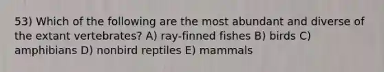 53) Which of the following are the most abundant and diverse of the extant vertebrates? A) ray-finned fishes B) birds C) amphibians D) nonbird reptiles E) mammals