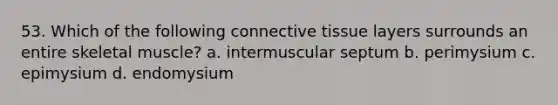 53. Which of the following connective tissue layers surrounds an entire skeletal muscle? a. intermuscular septum b. perimysium c. epimysium d. endomysium