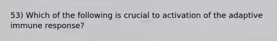 53) Which of the following is crucial to activation of the adaptive immune response?