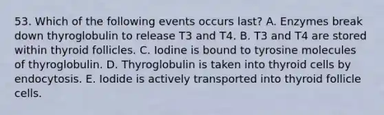 53. Which of the following events occurs last? A. Enzymes break down thyroglobulin to release T3 and T4. B. T3 and T4 are stored within thyroid follicles. C. Iodine is bound to tyrosine molecules of thyroglobulin. D. Thyroglobulin is taken into thyroid cells by endocytosis. E. Iodide is actively transported into thyroid follicle cells.