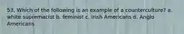 53. Which of the following is an example of a counterculture? a. white supremacist b. feminist c. Irish Americans d. Anglo Americans