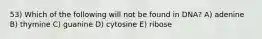 53) Which of the following will not be found in DNA? A) adenine B) thymine C) guanine D) cytosine E) ribose