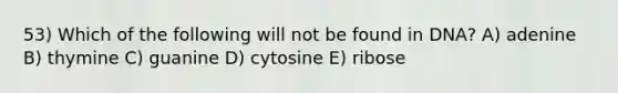 53) Which of the following will not be found in DNA? A) adenine B) thymine C) guanine D) cytosine E) ribose