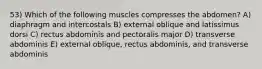 53) Which of the following muscles compresses the abdomen? A) diaphragm and intercostals B) external oblique and latissimus dorsi C) rectus abdominis and pectoralis major D) transverse abdominis E) external oblique, rectus abdominis, and transverse abdominis