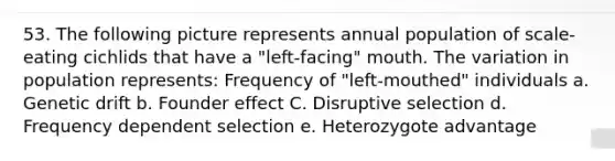 53. The following picture represents annual population of scale-eating cichlids that have a "left-facing" mouth. The variation in population represents: Frequency of "left-mouthed" individuals a. Genetic drift b. Founder effect C. Disruptive selection d. Frequency dependent selection e. Heterozygote advantage