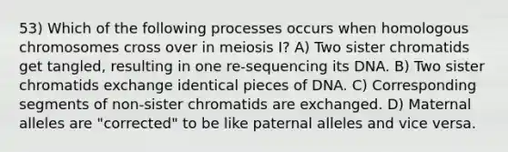 53) Which of the following processes occurs when homologous chromosomes cross over in meiosis I? A) Two sister chromatids get tangled, resulting in one re-sequencing its DNA. B) Two sister chromatids exchange identical pieces of DNA. C) Corresponding segments of non-sister chromatids are exchanged. D) Maternal alleles are "corrected" to be like paternal alleles and vice versa.