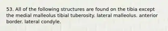 53. All of the following structures are found on the tibia except the medial malleolus tibial tuberosity. lateral malleolus. anterior border. lateral condyle.