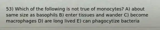 53) Which of the following is not true of monocytes? A) about same size as basophils B) enter tissues and wander C) become macrophages D) are long lived E) can phagocytize bacteria