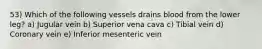 53) Which of the following vessels drains blood from the lower leg? a) Jugular vein b) Superior vena cava c) Tibial vein d) Coronary vein e) Inferior mesenteric vein