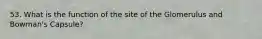 53. What is the function of the site of the Glomerulus and Bowman's Capsule?