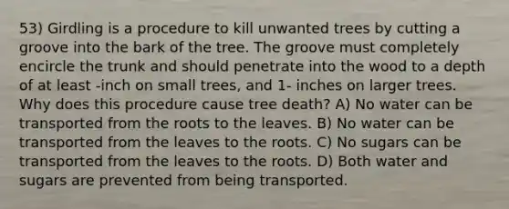 53) Girdling is a procedure to kill unwanted trees by cutting a groove into the bark of the tree. The groove must completely encircle the trunk and should penetrate into the wood to a depth of at least -inch on small trees, and 1- inches on larger trees. Why does this procedure cause tree death? A) No water can be transported from the roots to the leaves. B) No water can be transported from the leaves to the roots. C) No sugars can be transported from the leaves to the roots. D) Both water and sugars are prevented from being transported.