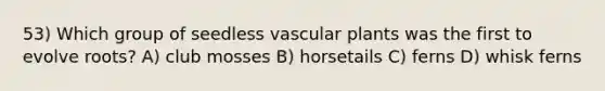 53) Which group of seedless vascular plants was the first to evolve roots? A) club mosses B) horsetails C) ferns D) whisk ferns